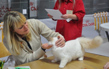 Domaren Irene Eek Magnusson 6/12-15