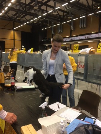 Zoya Örebro 21/1-18 Ex1