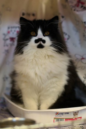 örebro 21/1-18, foto: Ia Resare